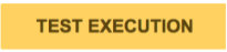 Test Execution